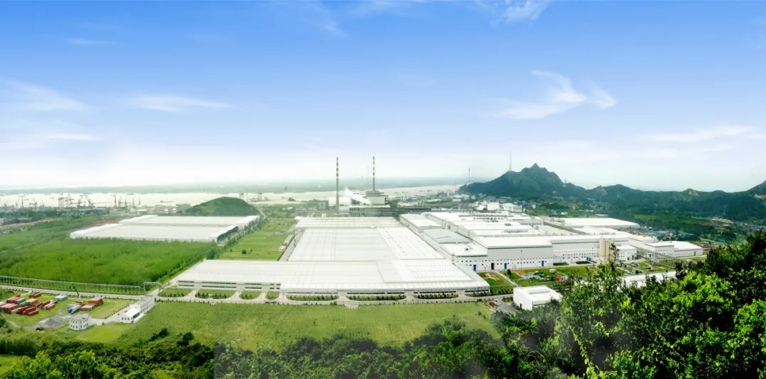 传统产业“发新芽” 金东纸业向绿向智向新而行