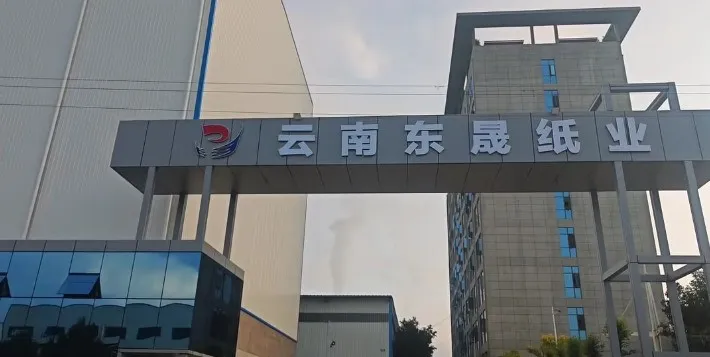 云南东晟纸业碳纤维梁膜转移施胶机开机上料