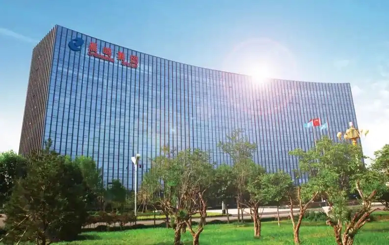 晨鸣纸业提名新一届董事会 成员大换血