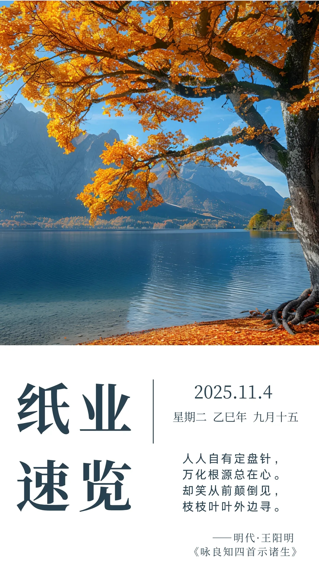 纸业速览（2025年10月28—11月4日）