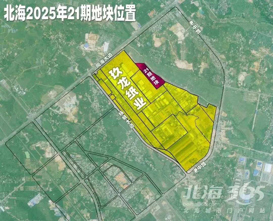 玖龙纸业将在北海再拿地