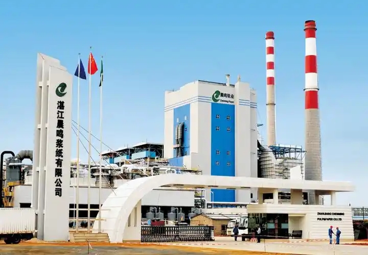 晨鸣纸业湛江基地复产在即