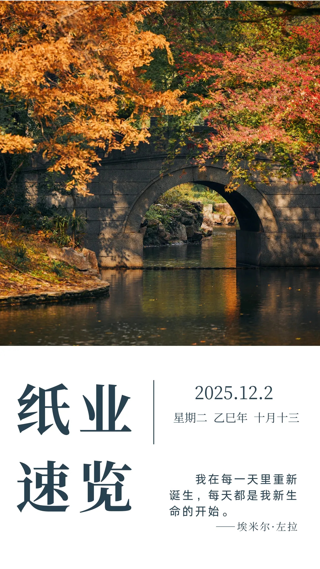 【周讯】纸业速览（2025年11月25—12月2日）
