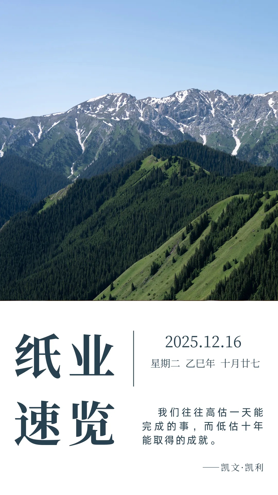 【周讯】纸业速览（2025年12月9—16日）