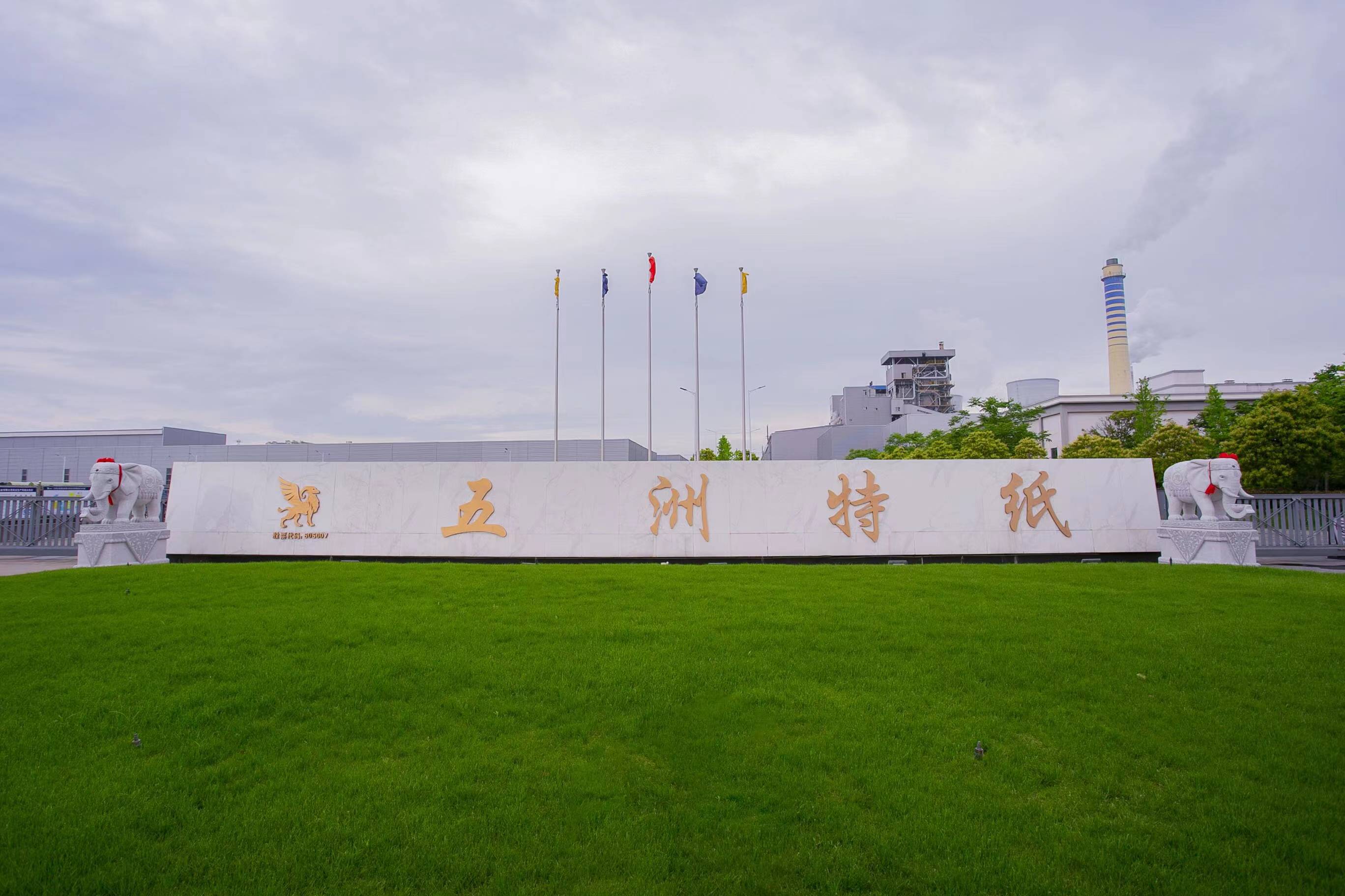 Saudi Paper Group引进拓斯克生活用纸生产线，提升生活用纸产能