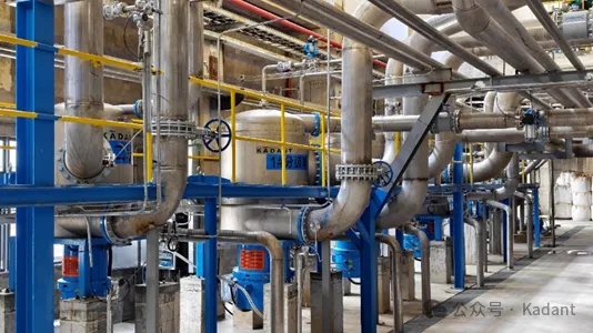 凯登携手浙江森林包装 PM7 项目开机出纸，浆线设计产量1000吨/天