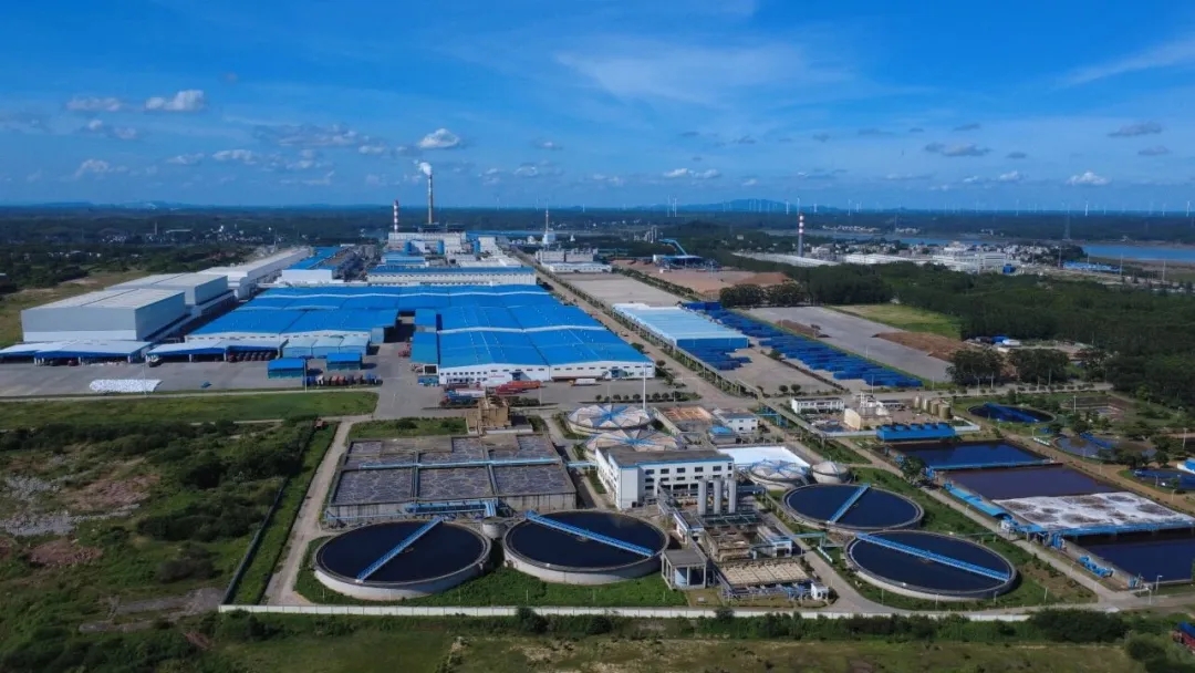 金桂浆纸助力“钦品智造”出海提速