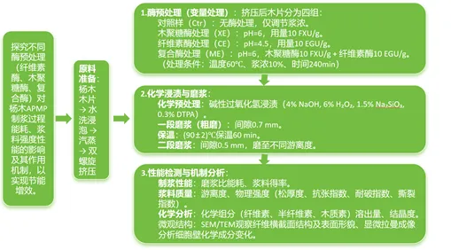 【学术论文】中国林科院林化所房桂干研究员团队：杨木生物化学机械法制浆节能和改善浆料强度性能的研究
