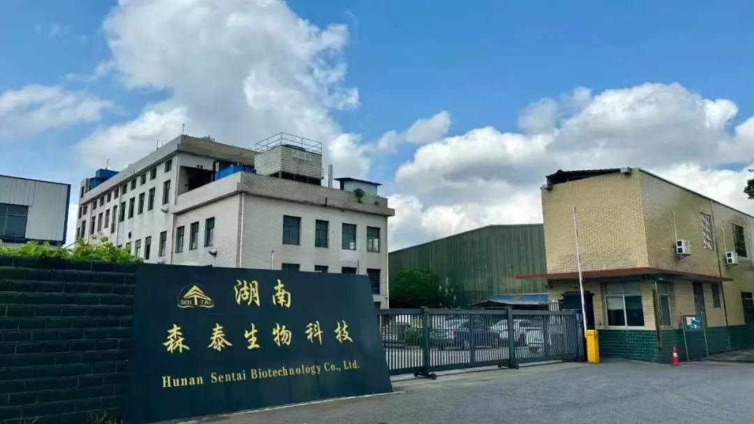 中国造纸院走访湖南森泰