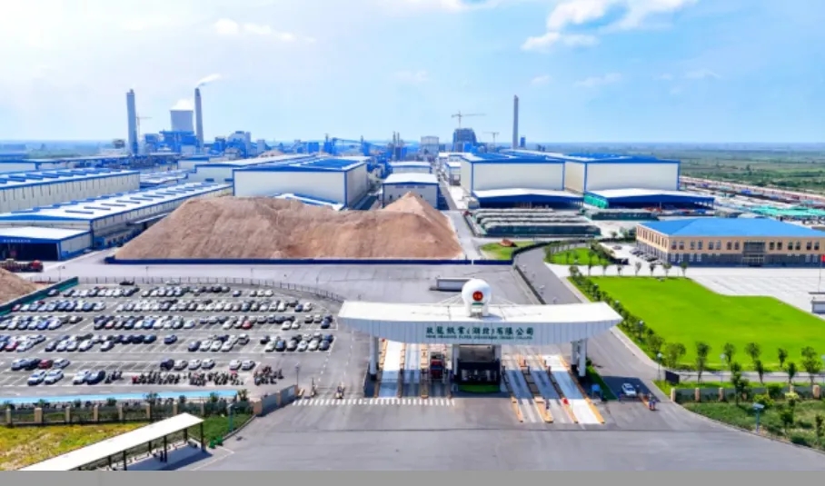 湖北玖龙积极谋划四期项目，力争全年产值破百亿