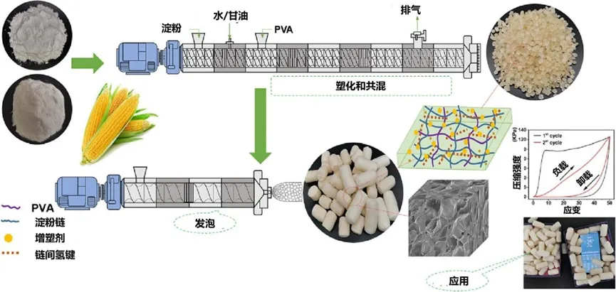 【学术论文】广西大学李薇博士团队：挤出-模压成型法制备生物质基发泡材料的研究进展