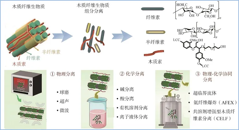 【学术论文】广西大学王双飞院士团队/宋雪萍课题组：木质纤维生物质组分分离及其高值化利用研究现状