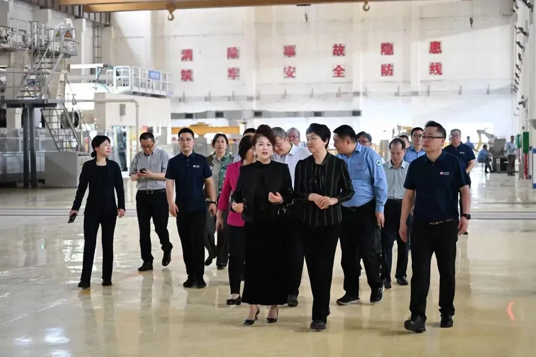 中央统战部副部长陈旭莅临金光集团APP金海浆纸调研