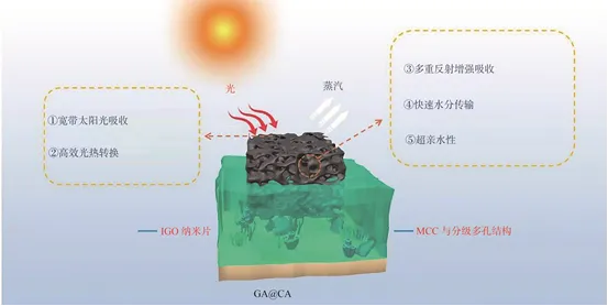 【学术论文】大连工业大学石海强教授团队：氧化石墨烯@纤维素气凝胶复合光热材料制备及蒸发性能研究