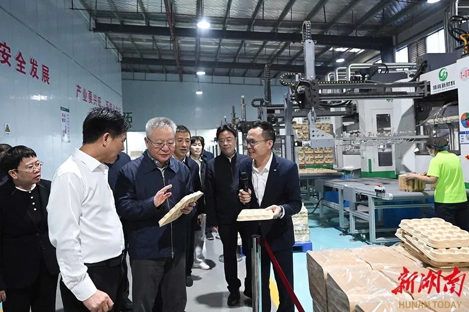 湖南省委书记沈晓明实地考察湖南领高新材料竹产业项目