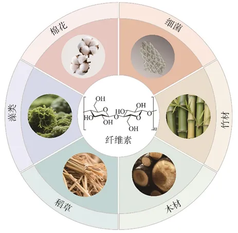 【学术论文】陕西科技大学聂景怡/杨斌团队：纤维素基挥发性有机化合物吸附材料的研究进展