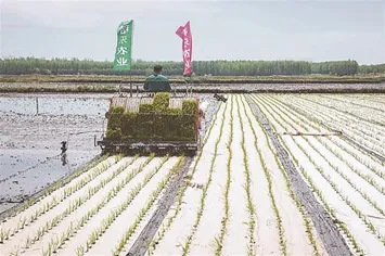 【学术论文】中国制浆造纸研究院刘文教授团队：地膜纸的性能评价和最新研究进展