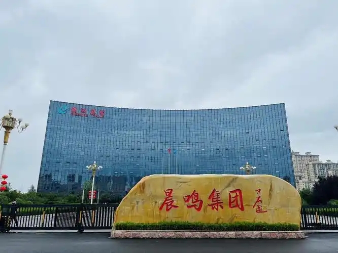 安德里茨（中国）有限公司总裁托马斯·史密斯到访晨鸣集团