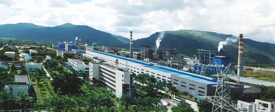 云投林纸新项目公示，新建年产50万吨漂白化学浆生产线