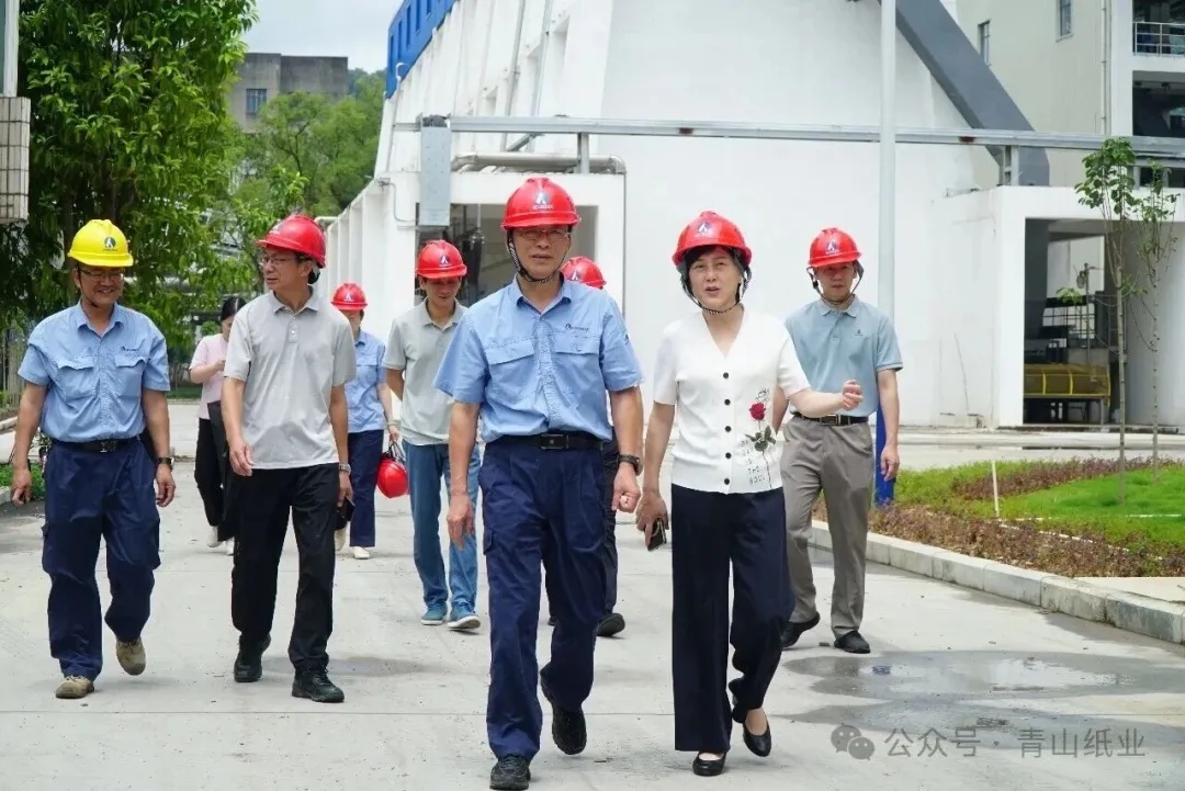 三明市人大常委会一行赴青山纸业调研重点项目建设