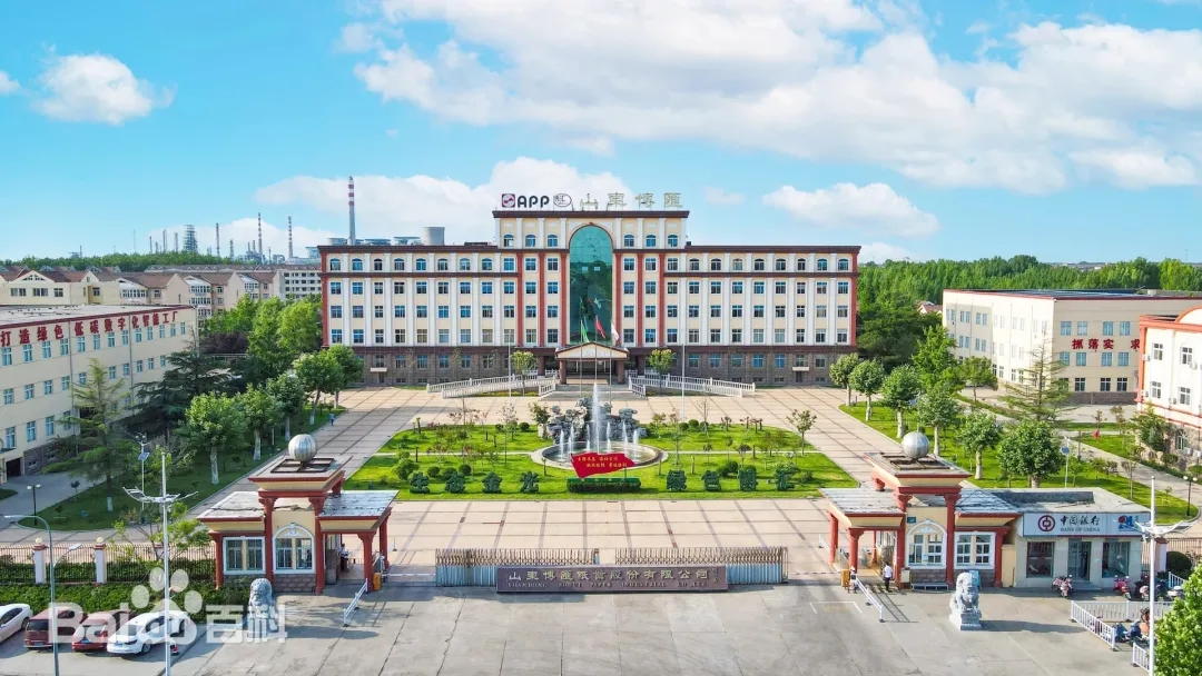 博汇纸业50万吨化学木浆项目正式公示
