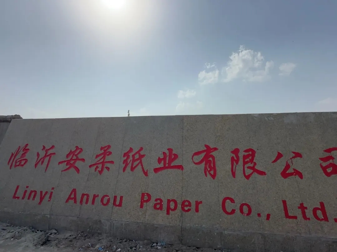 临沂安柔纸业有限公司生活用纸项目受理公示