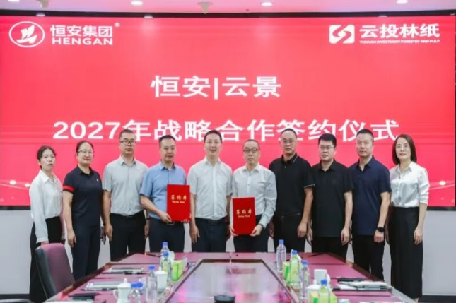 云投林纸与恒安集团签署绒毛浆长期购销合作协议