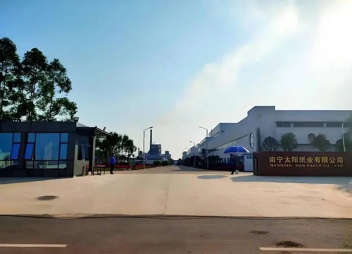 山东太阳纸业决定对全资子公司南宁太阳纸业增资